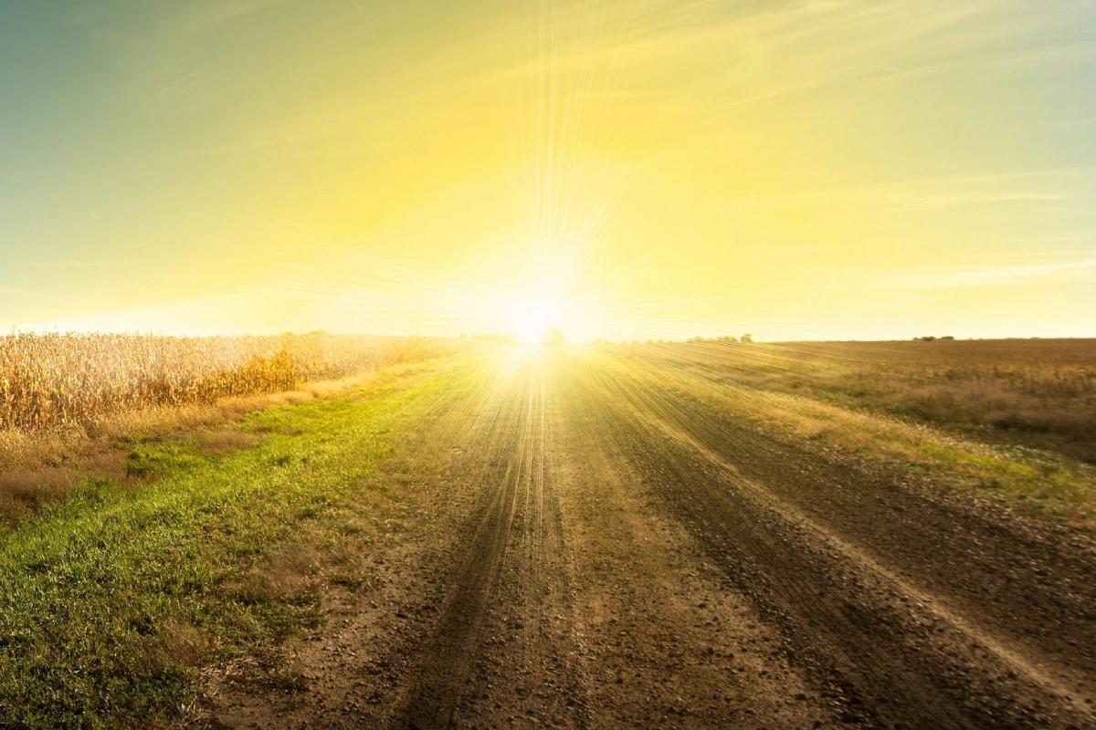 Sunrise over mud road