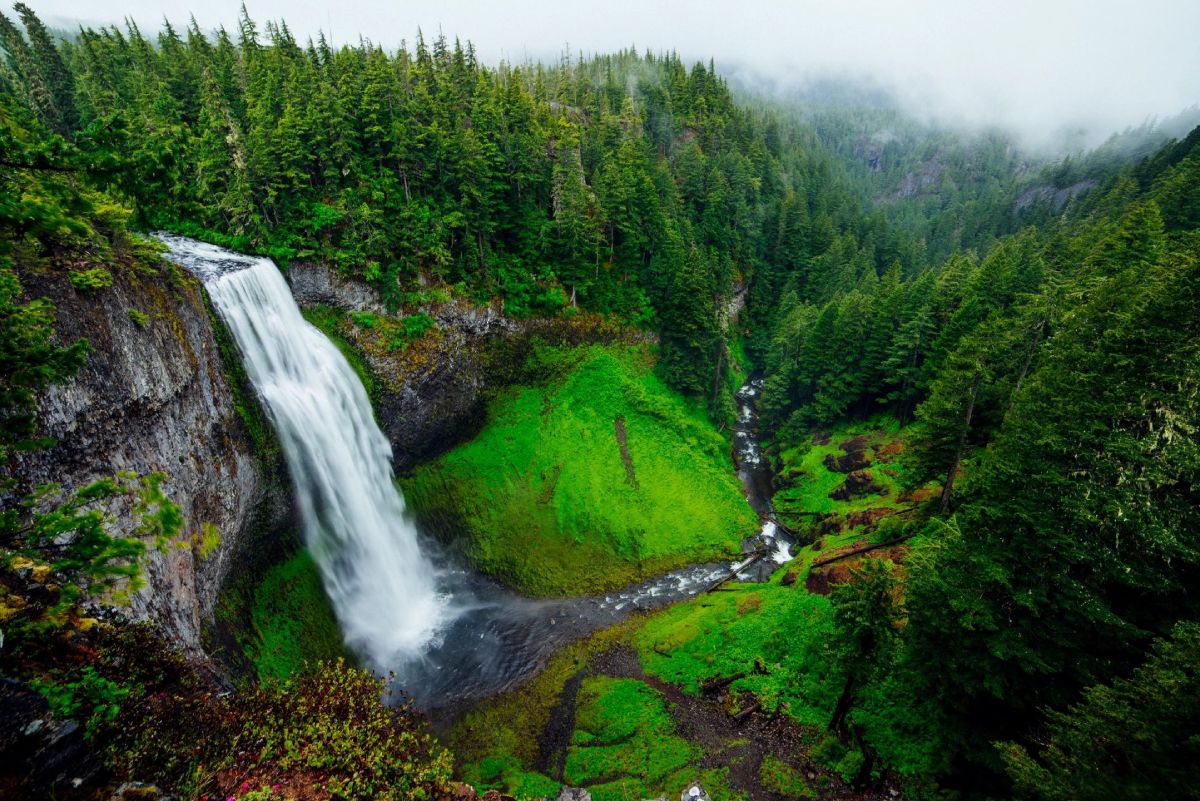 Waterfall from the cliff in the green forest