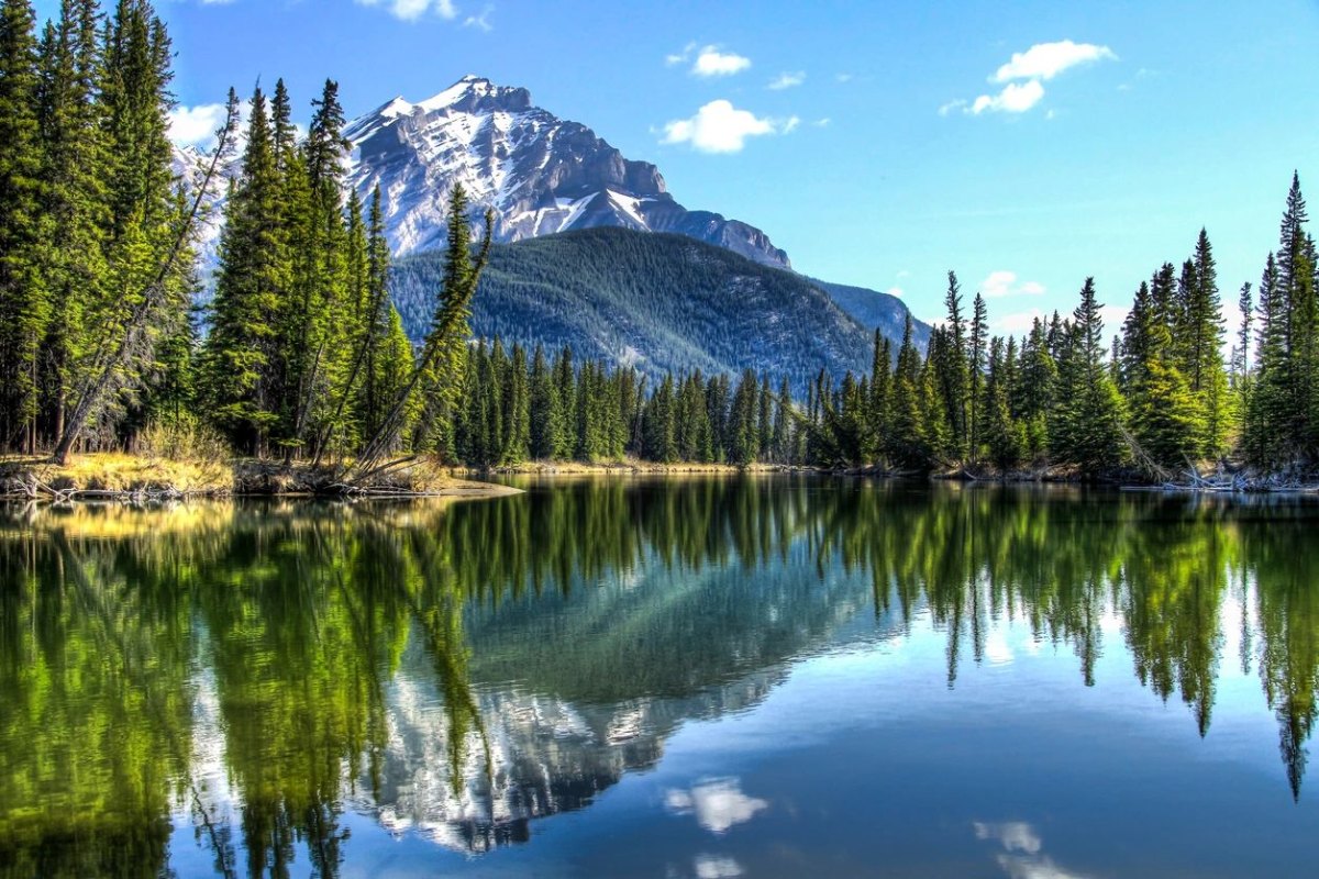 The calm Bow River in the Forest