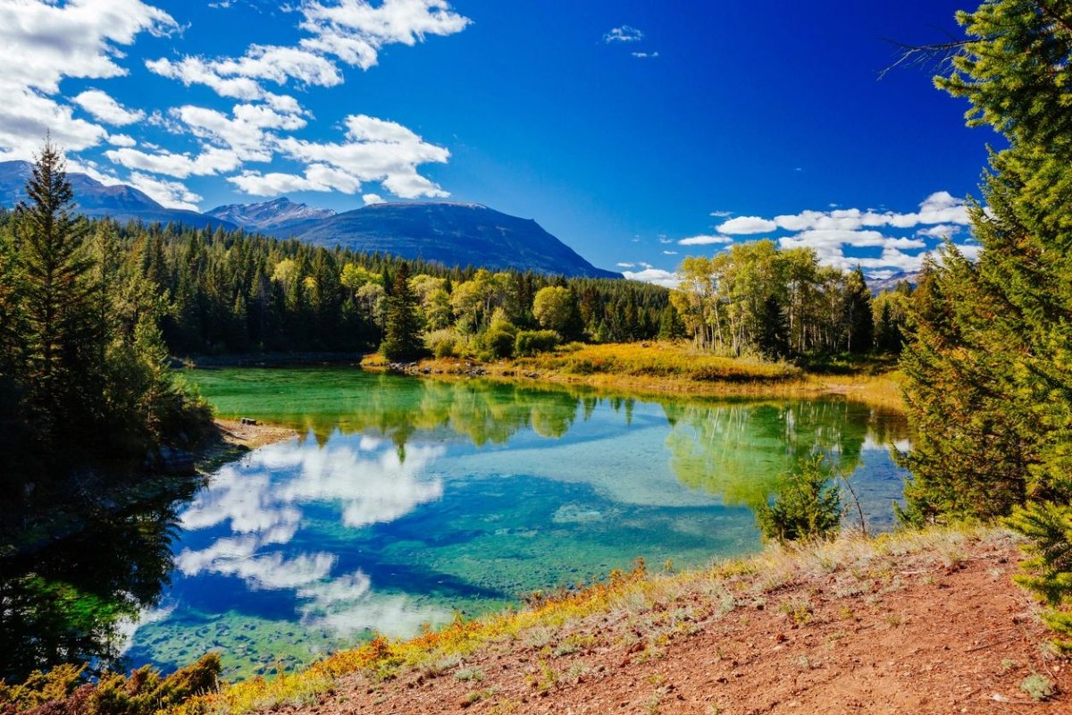 Beautiful Lake in the forest