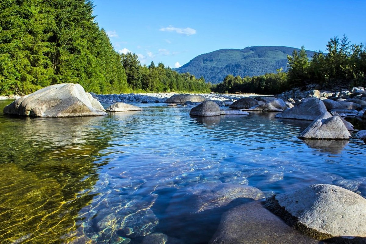 Beautiful view of mountain and river in the forest